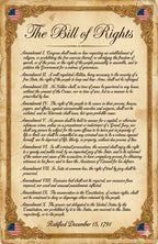 Twelve laminated civics posters covering the Bill of Rights, Constitution, Declaration of Independence, and related topics — view 6