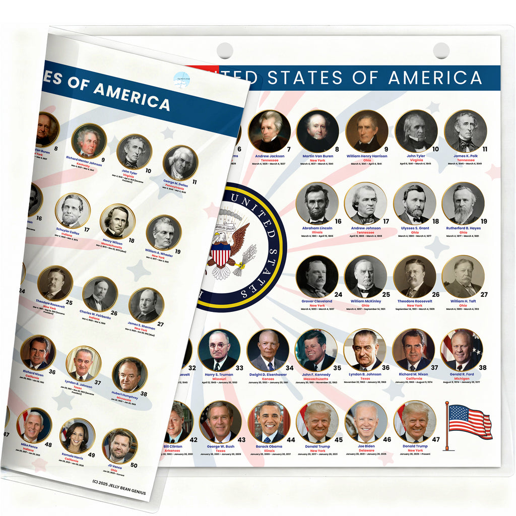 U.S. Presidents and U.S. Vice Presidents reference page, double-sided 3-ring binder insert for government and civics study