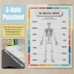 Human Body Organs & Skeletal System Reference Binder Insert (Double-Sided) | Reusable Learning Chart for Kids