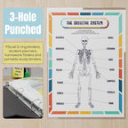 Human Body Anatomy Reference Page | Reusable Learning Chart for Kids