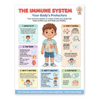 Six laminated human body posters for skin, kidneys, muscles, skeleton, immune system, and nervous system with QR codes — view 8