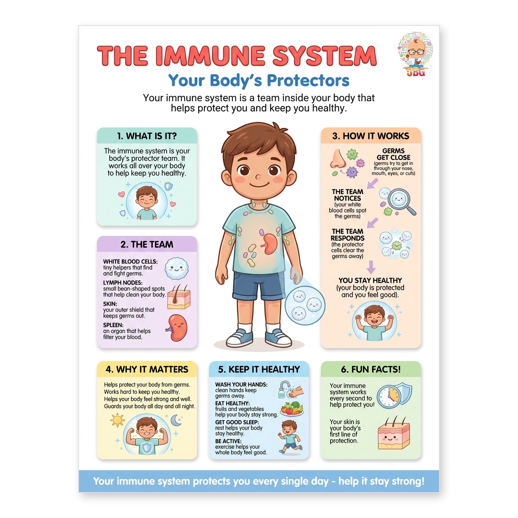 Six laminated human body posters for skin, kidneys, muscles, skeleton, immune system, and nervous system with QR codes — view 8
