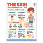 Laminated human body anatomy poster set with QR codes for narrated audio lessons — view 9