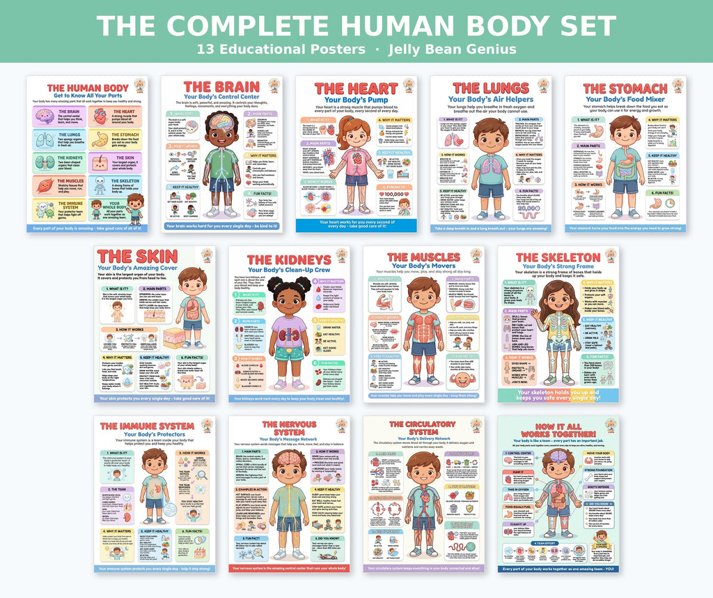 Laminated human body anatomy poster set with QR codes for narrated audio lessons