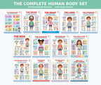 Laminated human body anatomy poster set with QR codes for narrated audio lessons