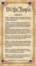 Twelve laminated civics posters covering the Bill of Rights, Constitution, Declaration of Independence, and related topics — view 8