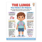 Six laminated human body anatomy posters with QR codes for narrated audio lessons — view 7