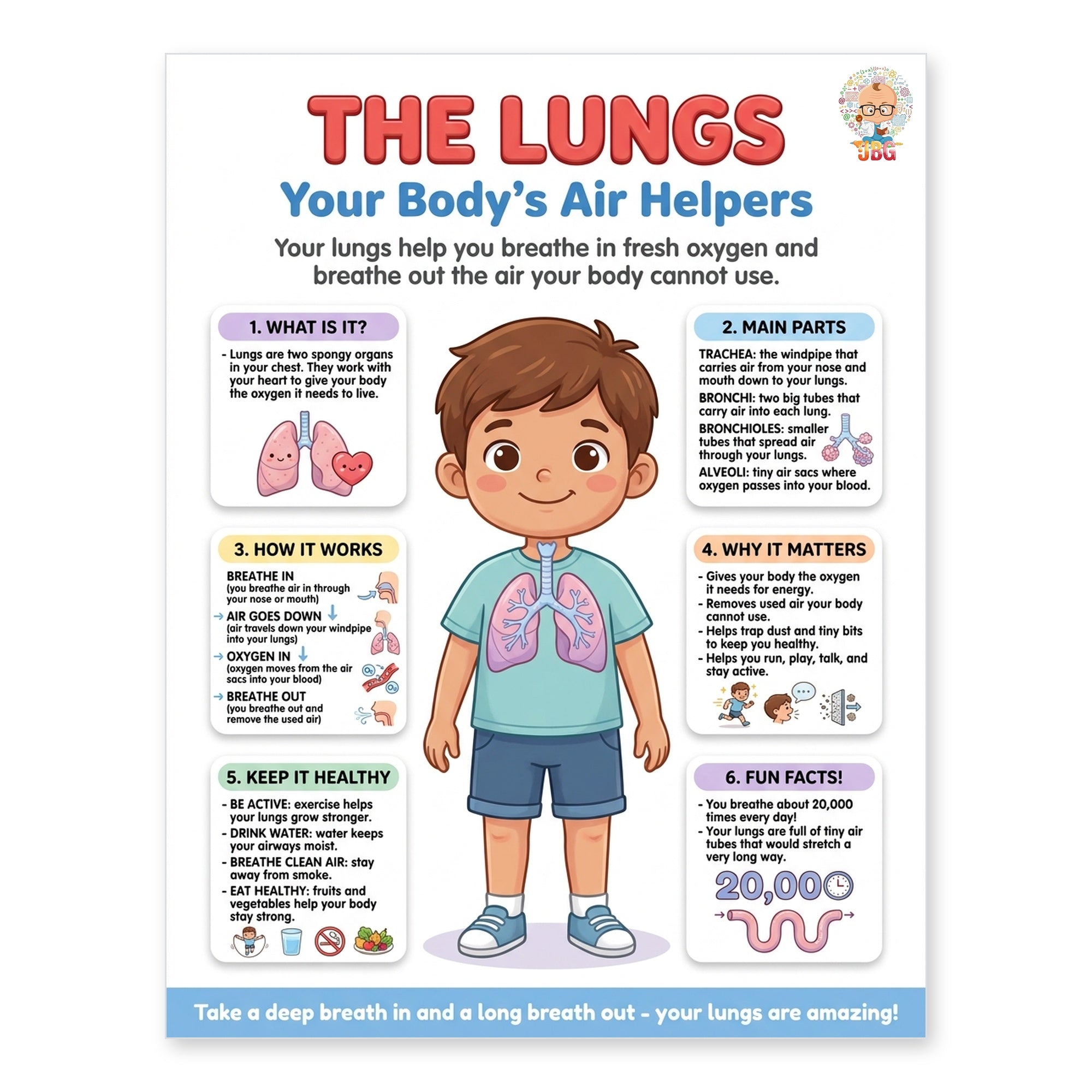 Six laminated human body anatomy posters with QR codes for narrated audio lessons — view 7