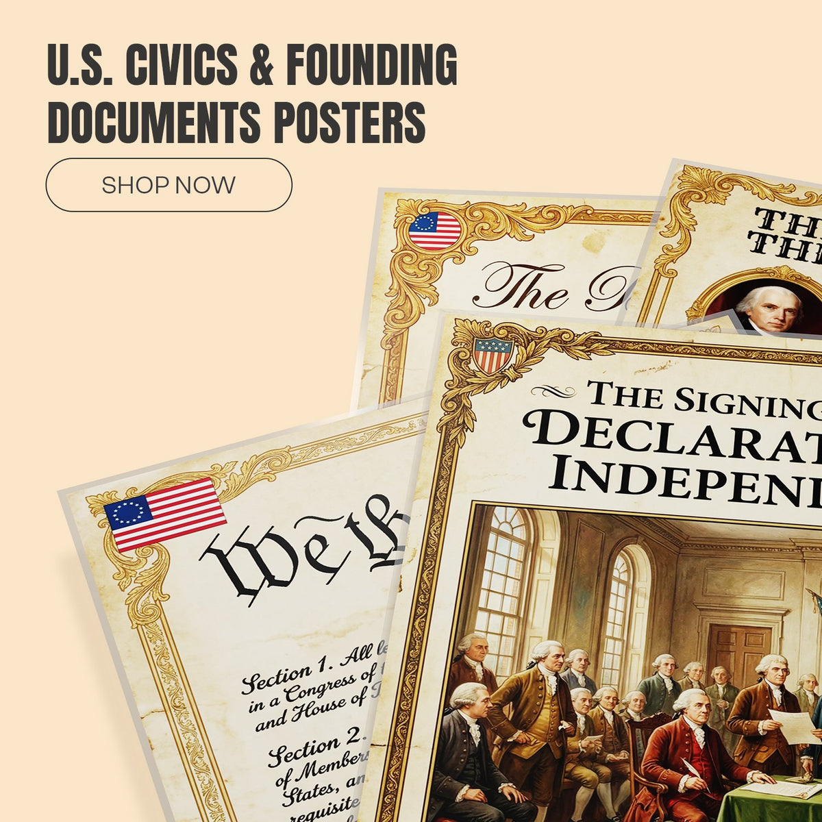 Shop U.S. Civics and Founding Documents posters